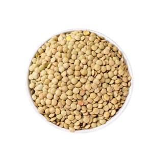 LENTEJA 4MM