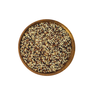 QUINOA TRICOLOR