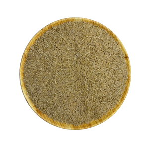 ARROZ INTEGRAL