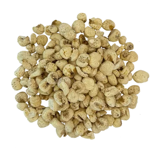 POLULO PERUANO